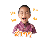 842016533