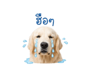 842016956