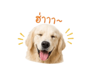 842016958