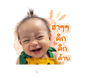 842017058