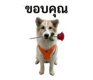 842017340