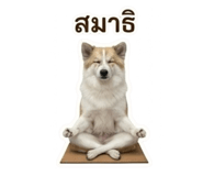 842017349