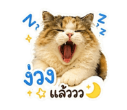 842023852