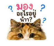 842023864