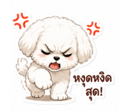 842024509