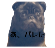 842025117