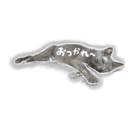 842025268