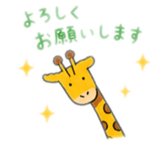 842025455