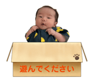842025463