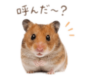 842025501