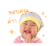 842033647