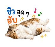 842034404