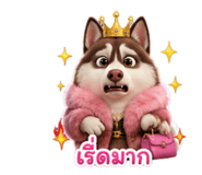 842034583