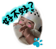 842035565