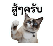 842043177