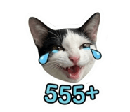 842043293