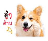 842043304