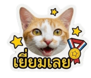 842043313