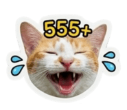 842043316