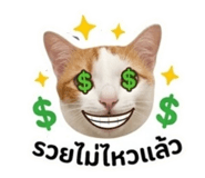 842043582