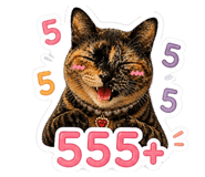 842043639