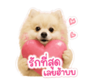 842043850