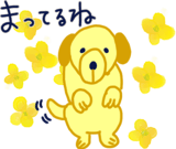 842044284