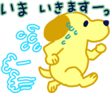 842044300