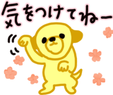 842044305