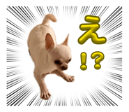 842045346