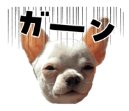 842045347