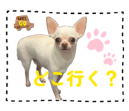 842045358