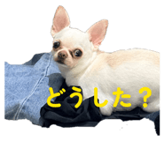 842045359