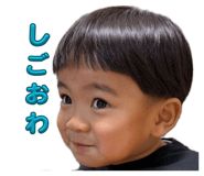 842045775