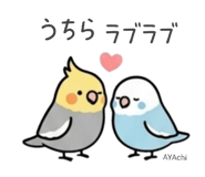 842045912