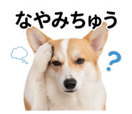 842046200