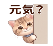 842046295