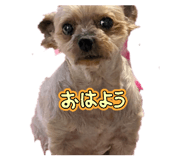 842046345