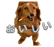 842046347