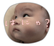842046444