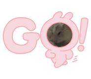 842046462