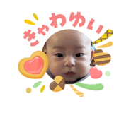842046633