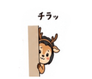 842047040