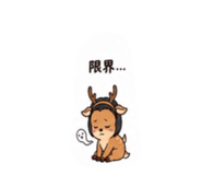 842047046