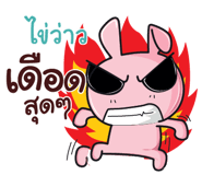 842049624