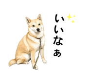 842053257