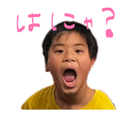 842053298