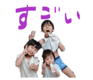 842053306
