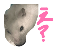 842053670