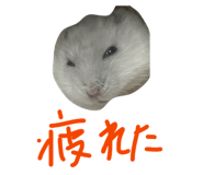 842053671